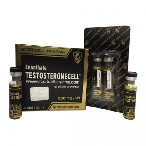 Root Cell Pharma Testosteron Enanthate 250mg 10ml